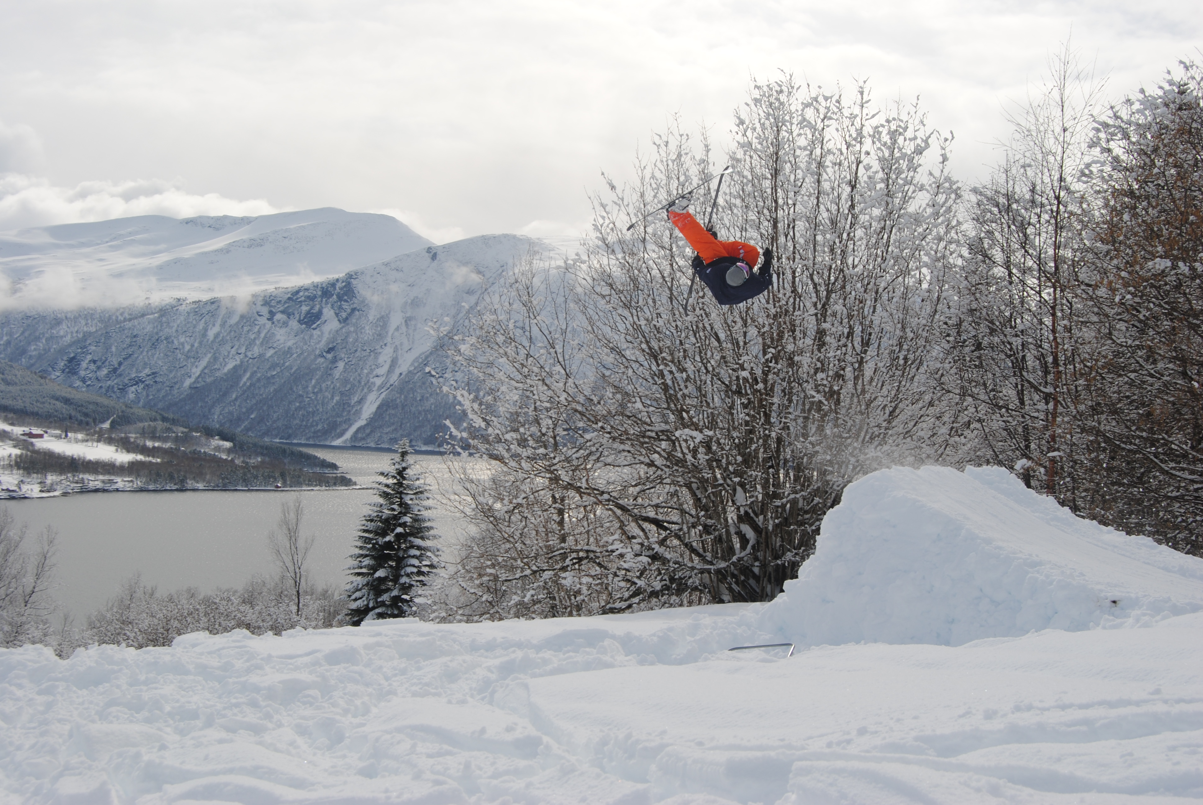 BackCountry Flatspin