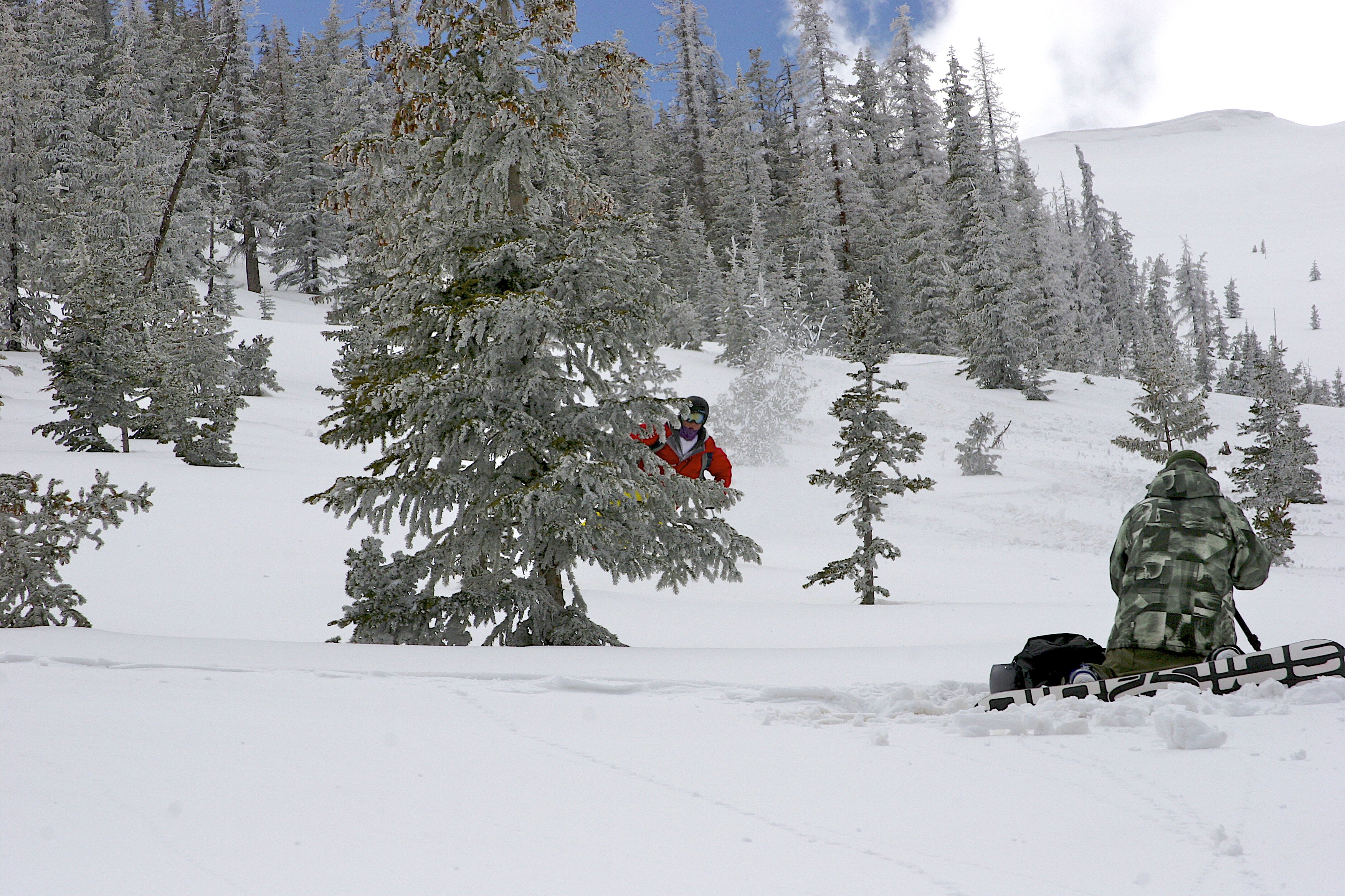 Backcountry in Steamboat