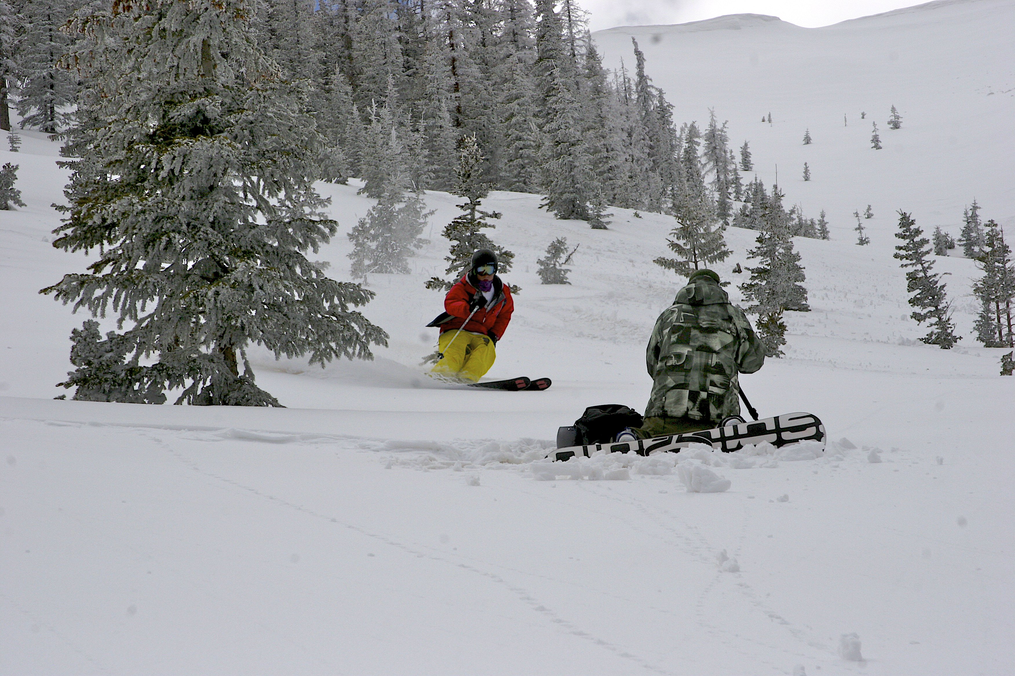 Backcountry in Steamboat