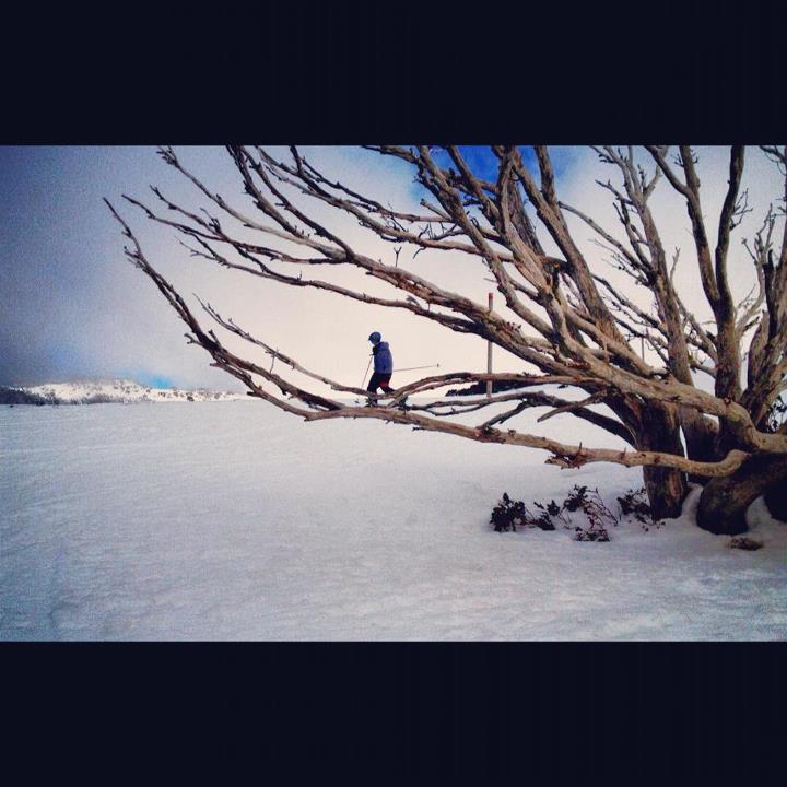 Backcountry telemarking