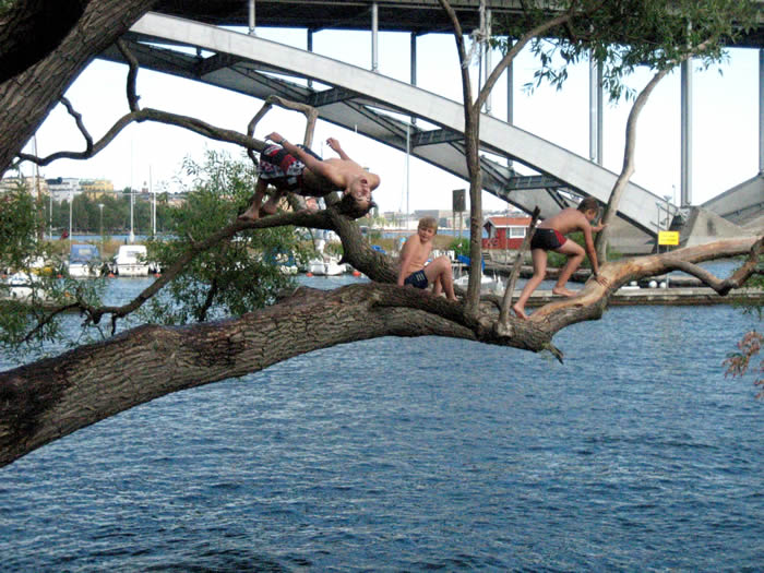 Backflip In Dowtown Stockholm