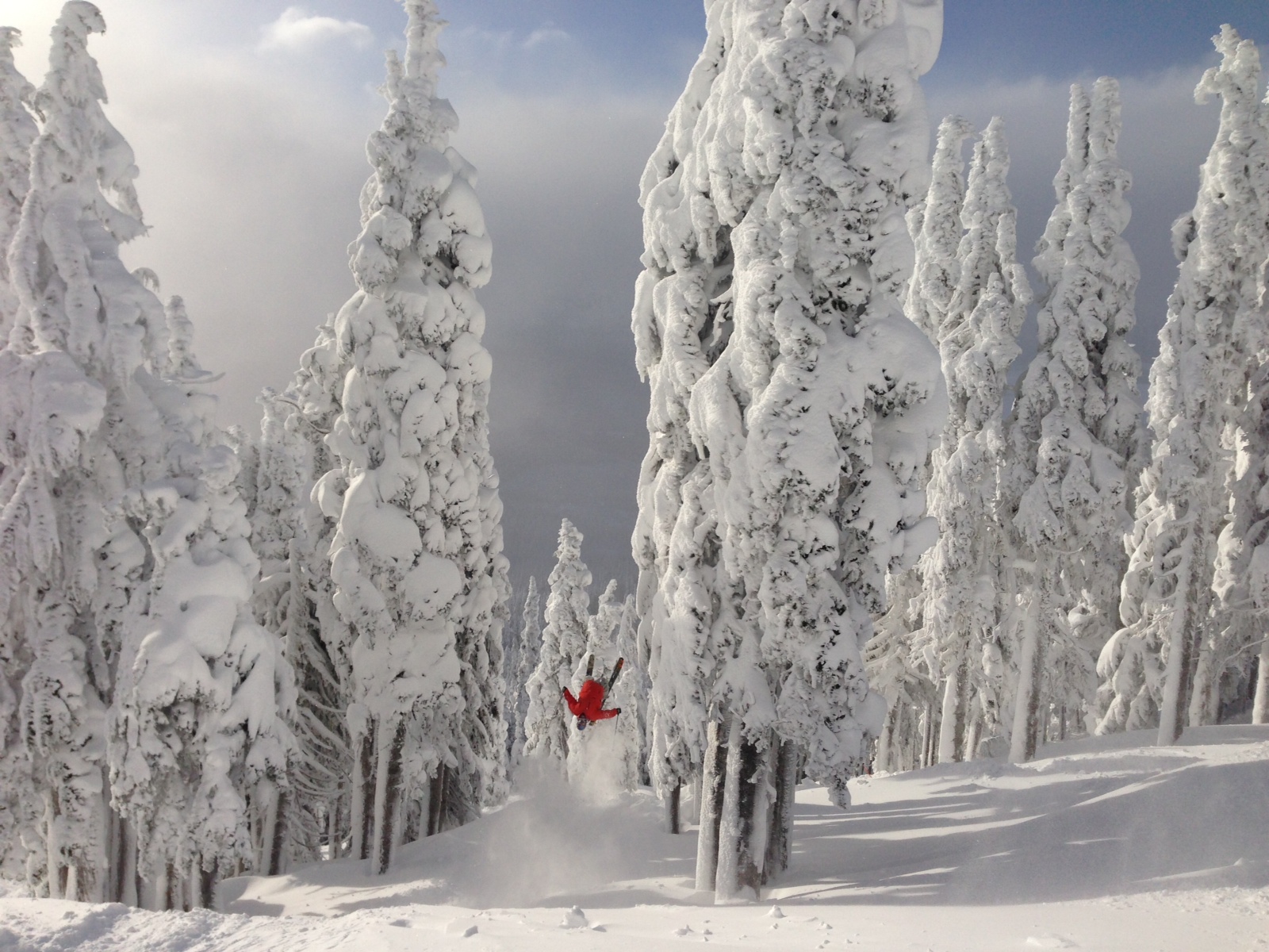 backflip of back out