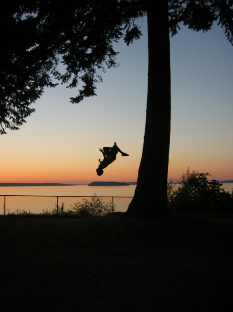 Backflip Off Mighty Tree
