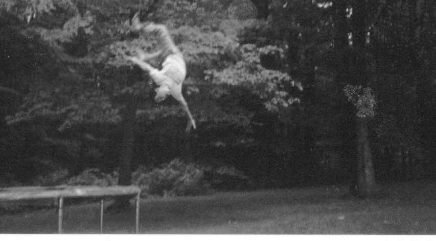 backflip OFF off tramp