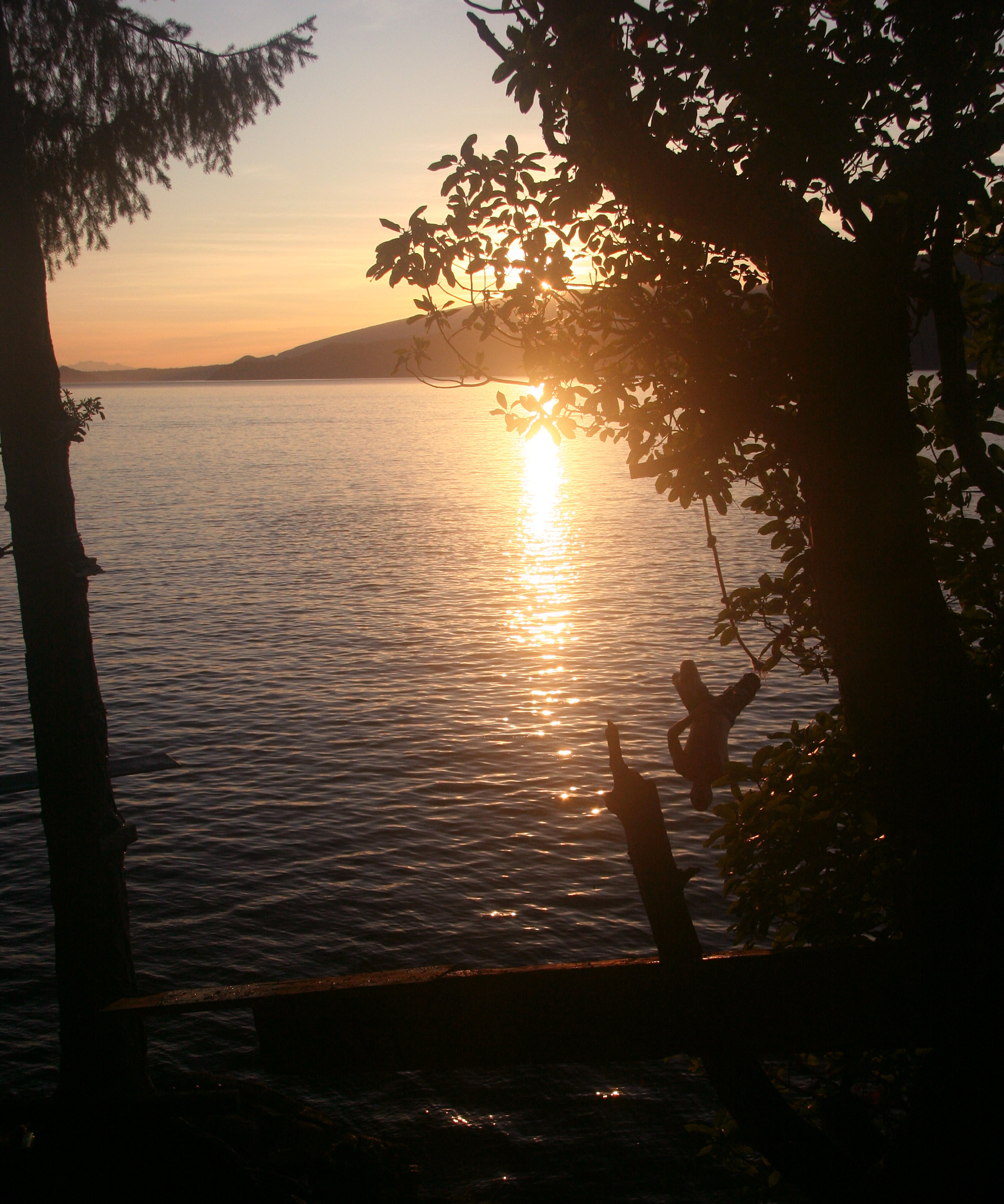 Backflip off rope swing, Lions bay BC