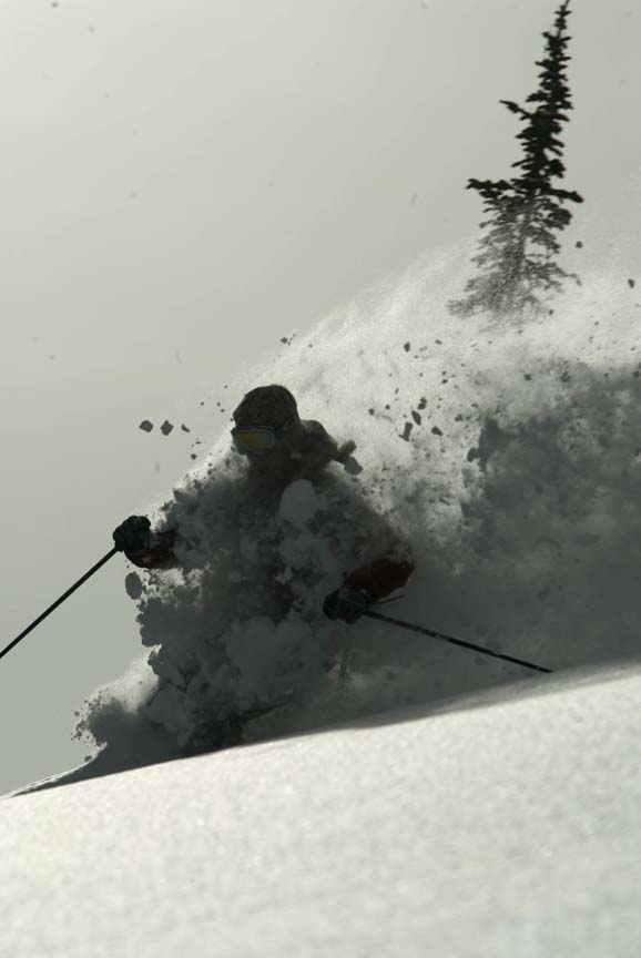 Backlit Pow