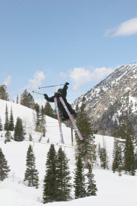 Backscratcher from Hell