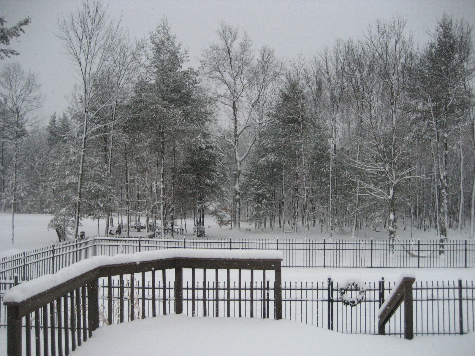 Backyard again.