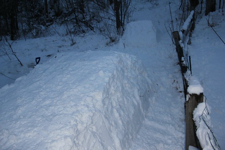 Backyard Jump - Landing