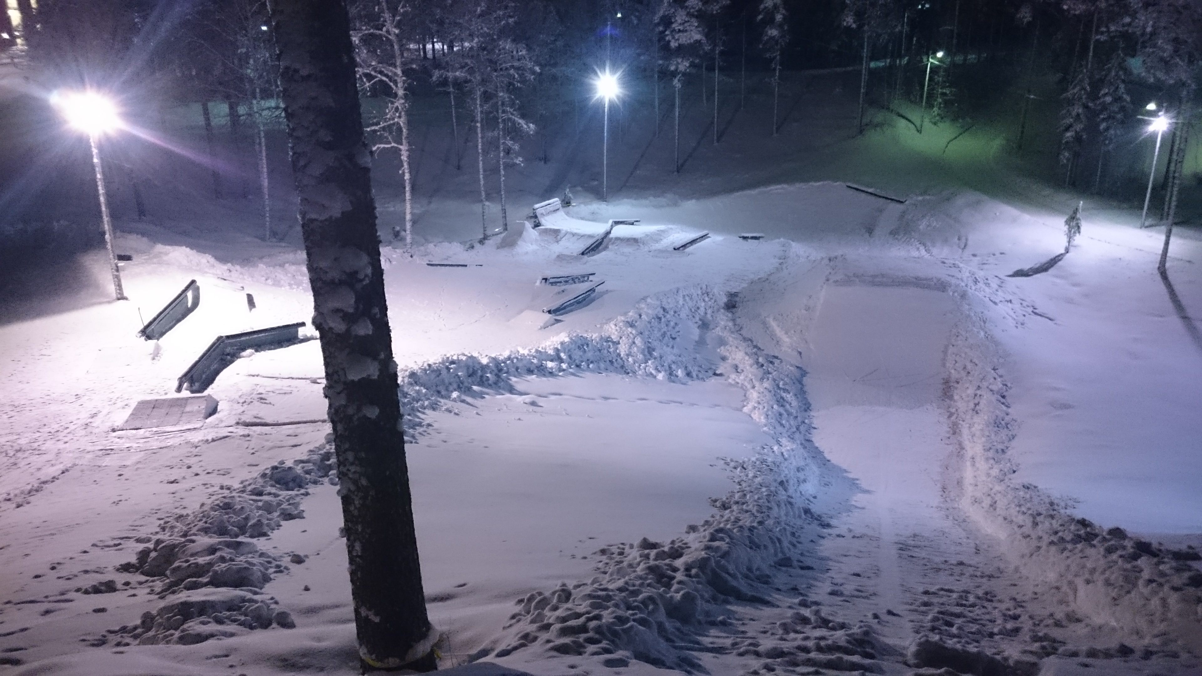 BACKYARD PARK RAILJAM SETUP