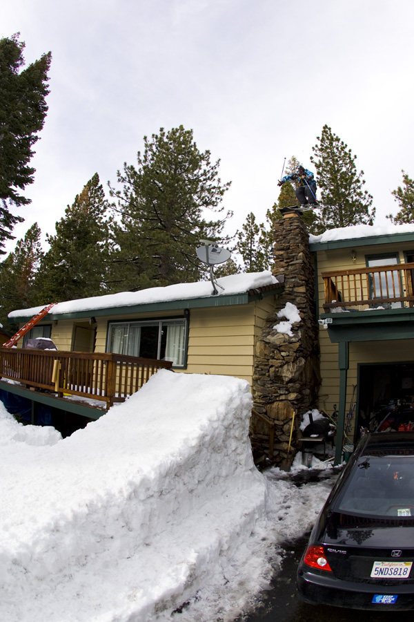 Backyard park: stage 1