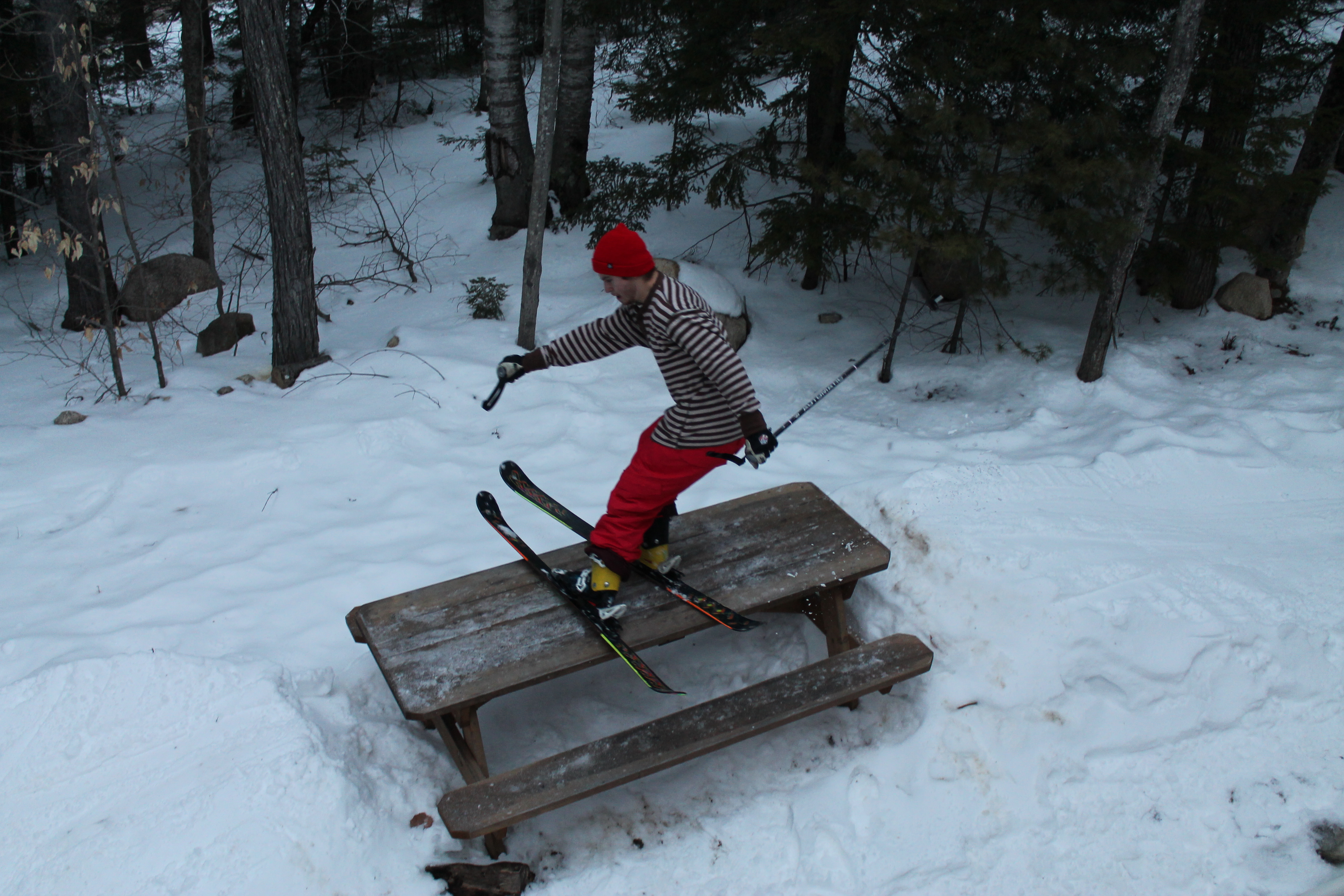 backyard picnic table