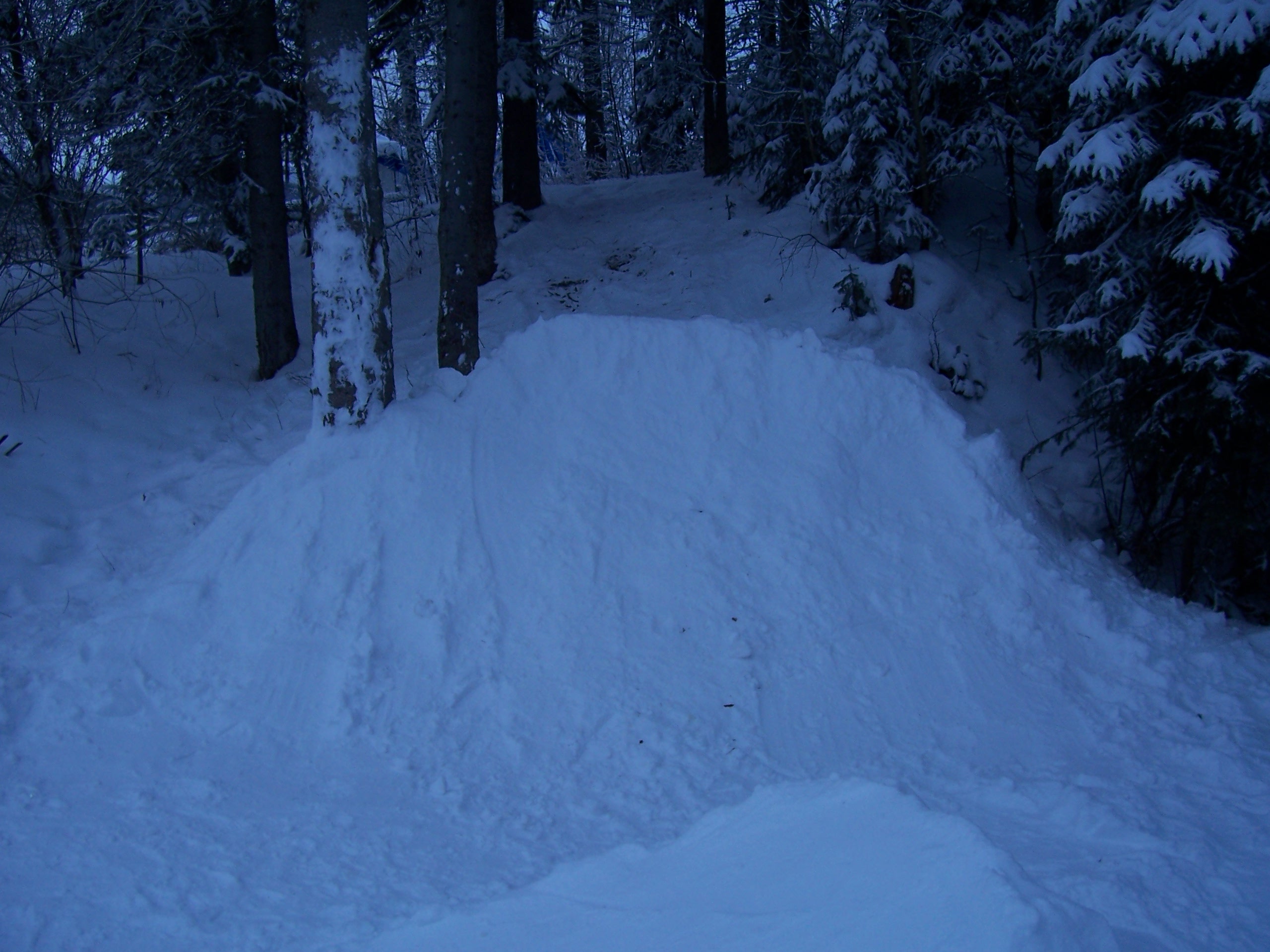 Backyard Quarter pipe 2/Tree stall
