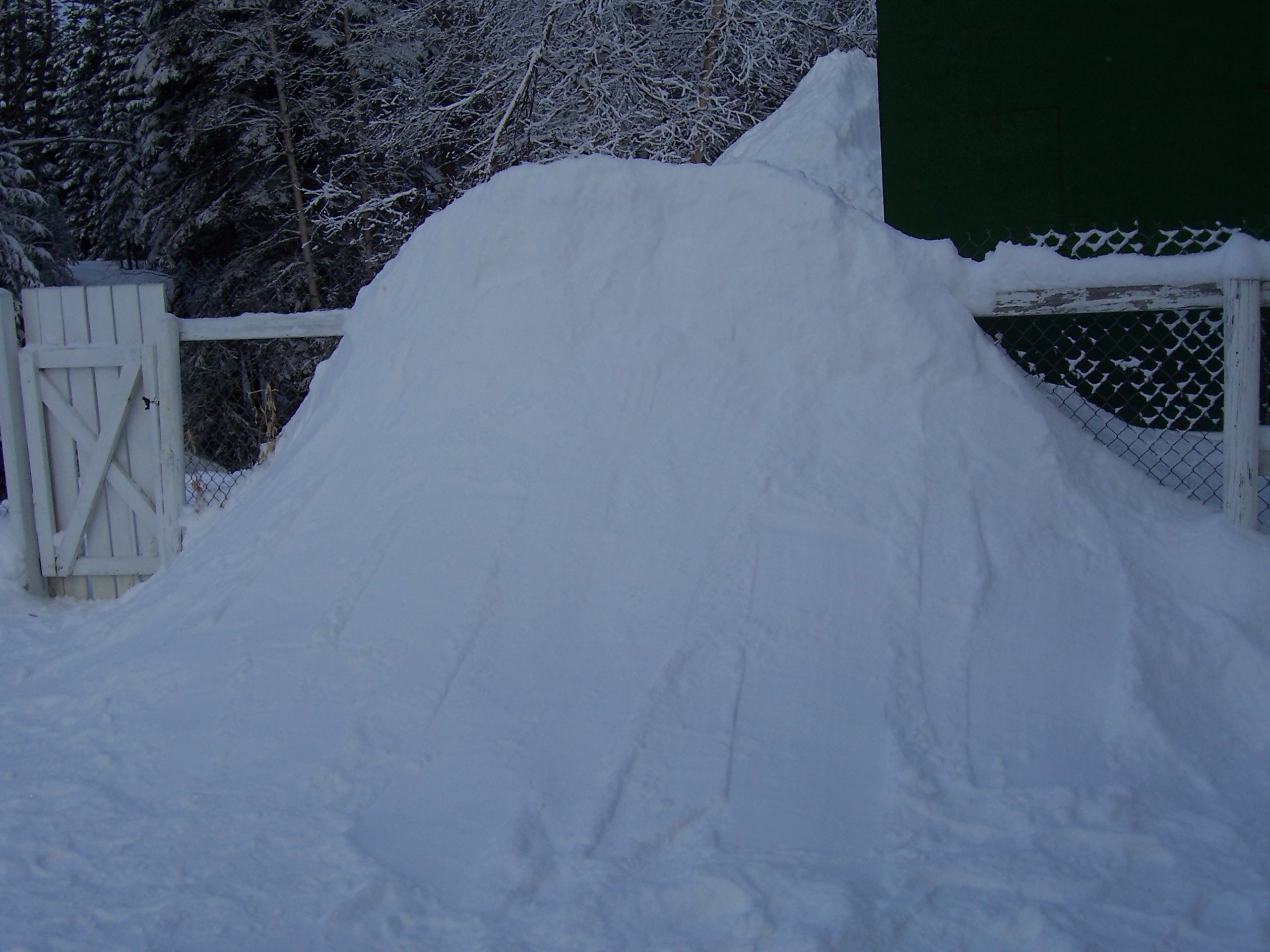Backyard Quarter pipe one