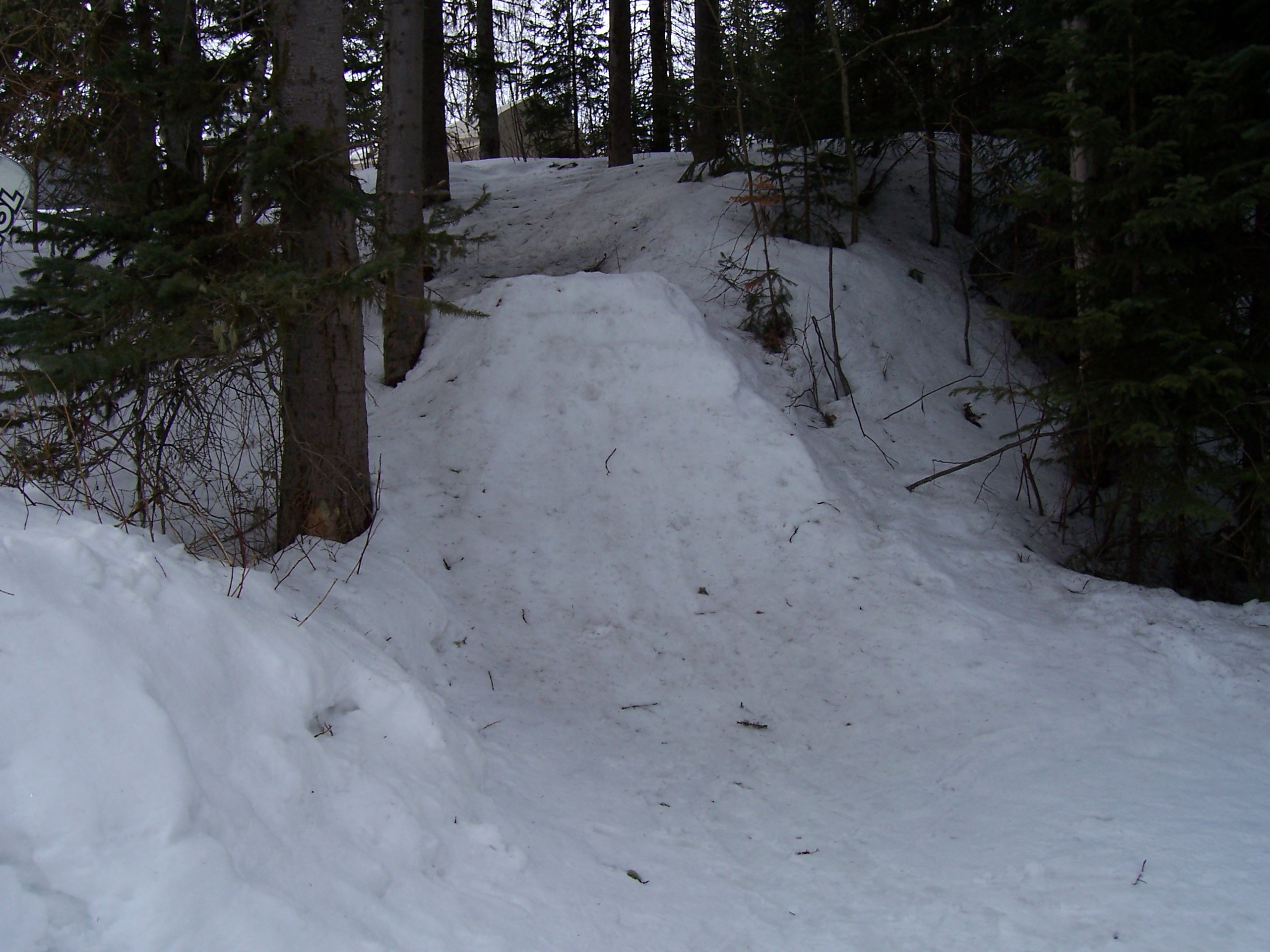Backyard Quarter pipe