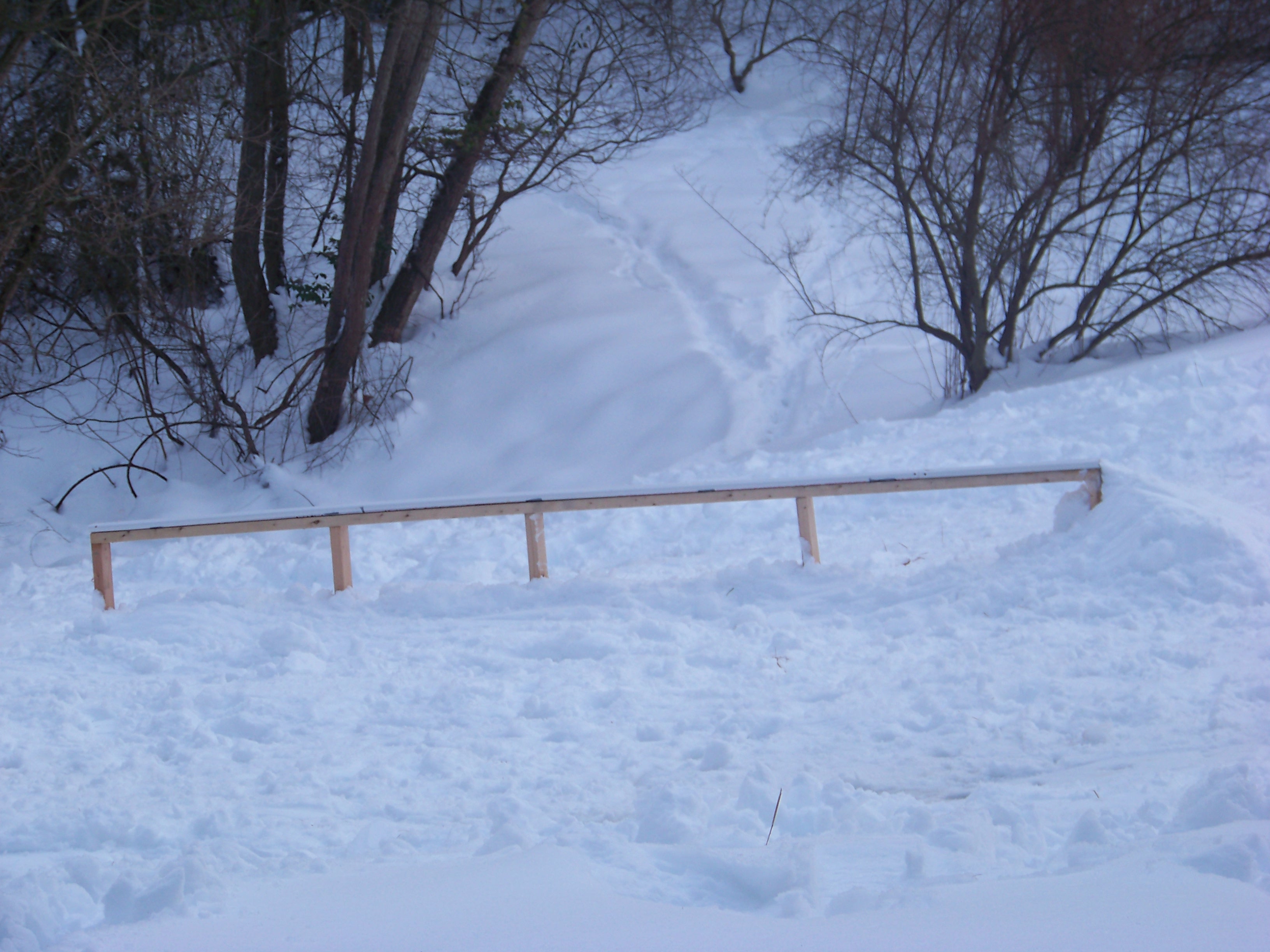 Backyard Rail