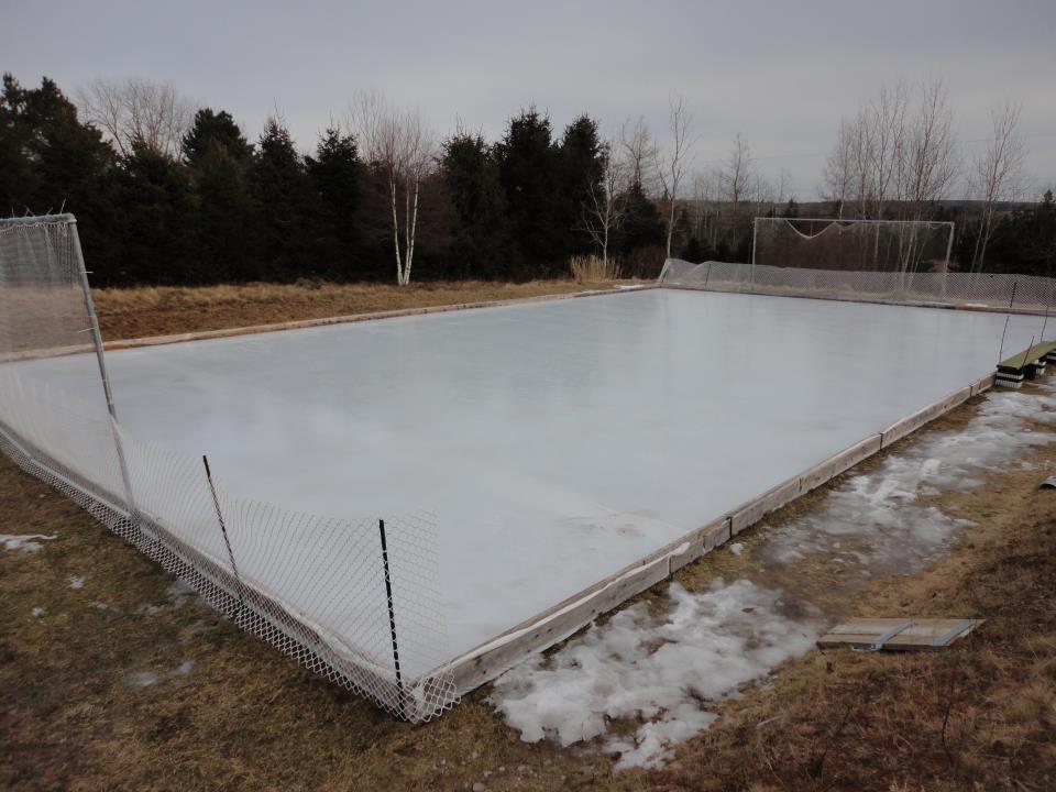 backyard rink