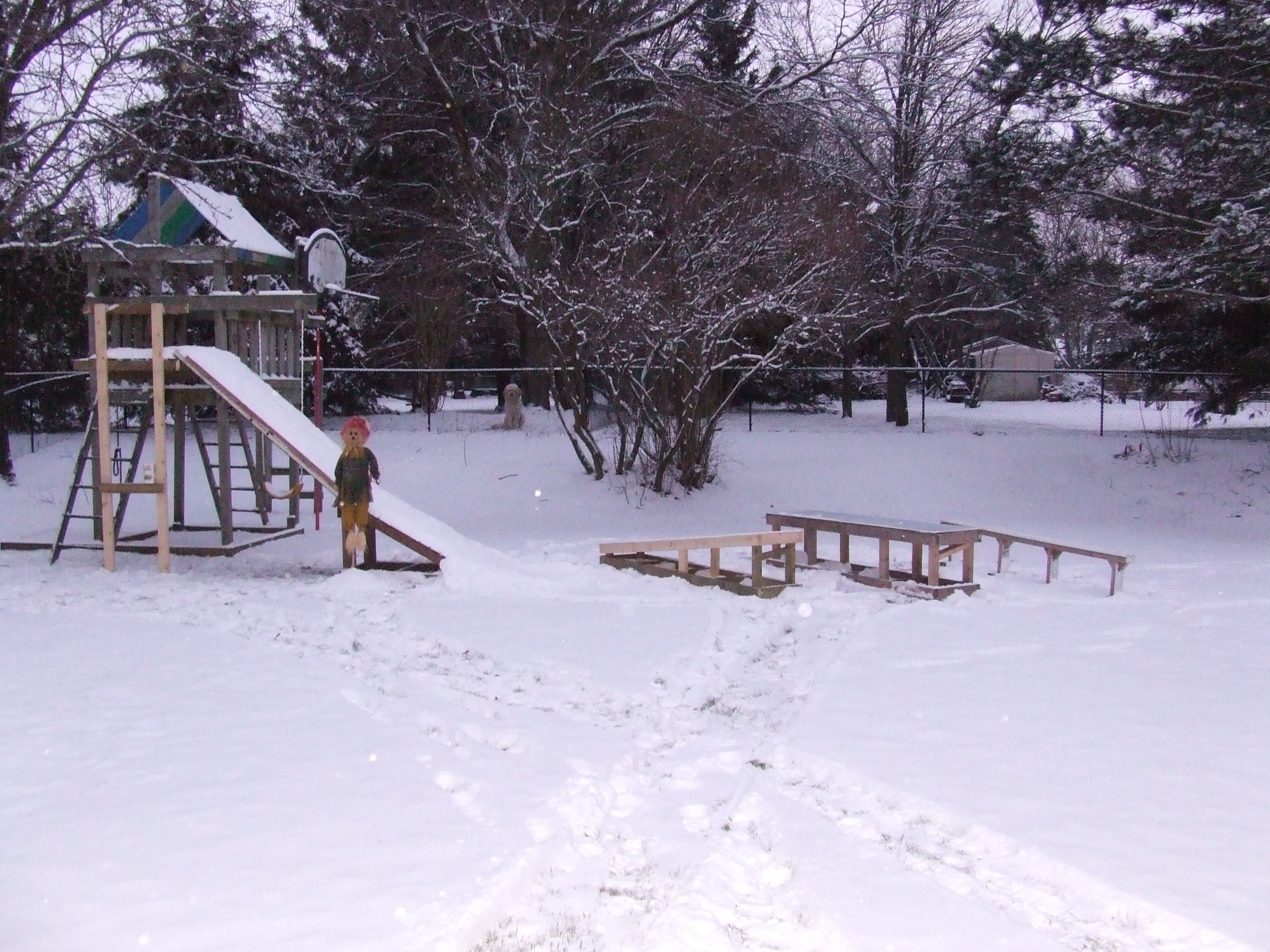 Backyard Setup - 1 of 5