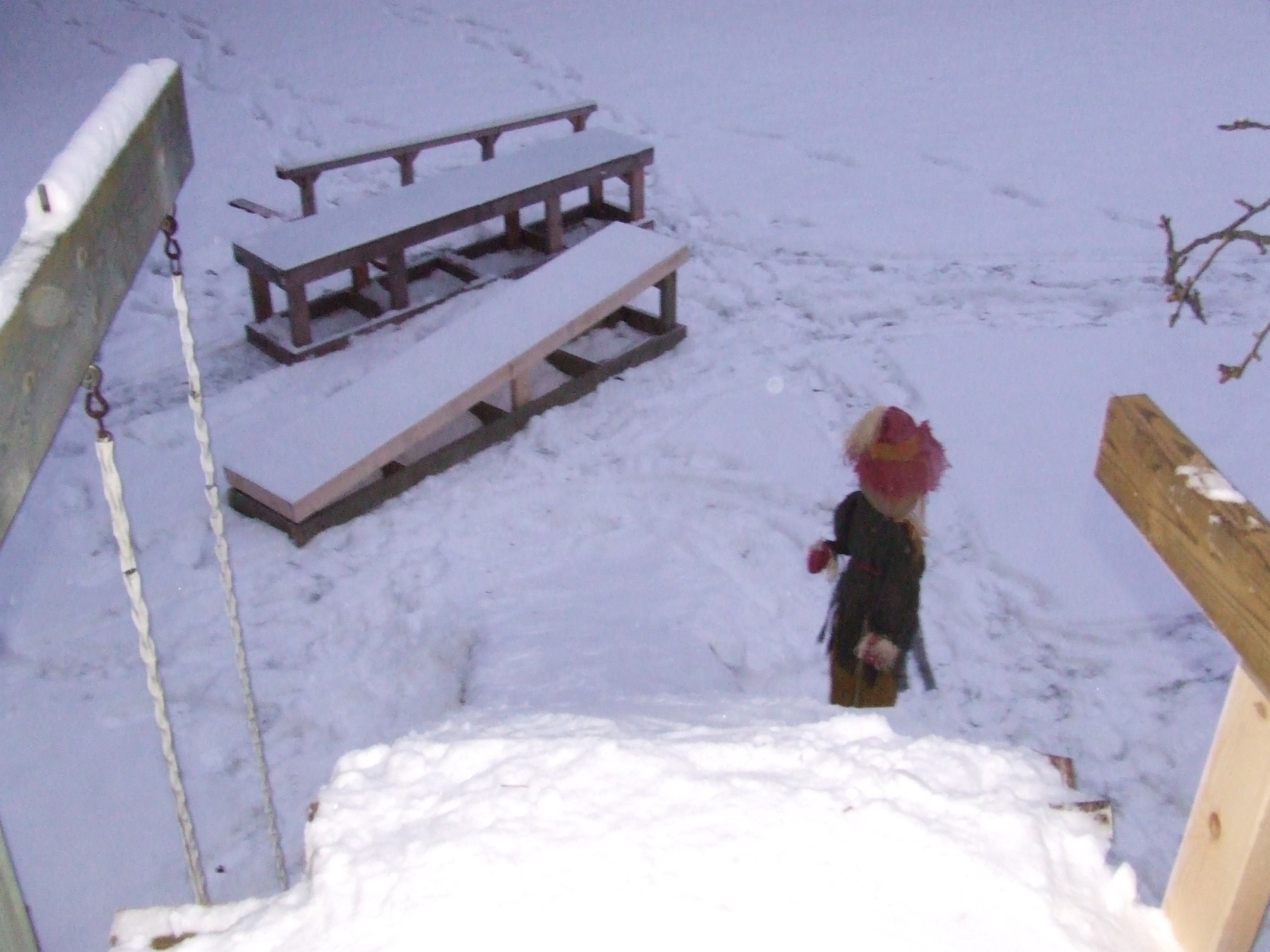 Backyard Setup - 2 of 5