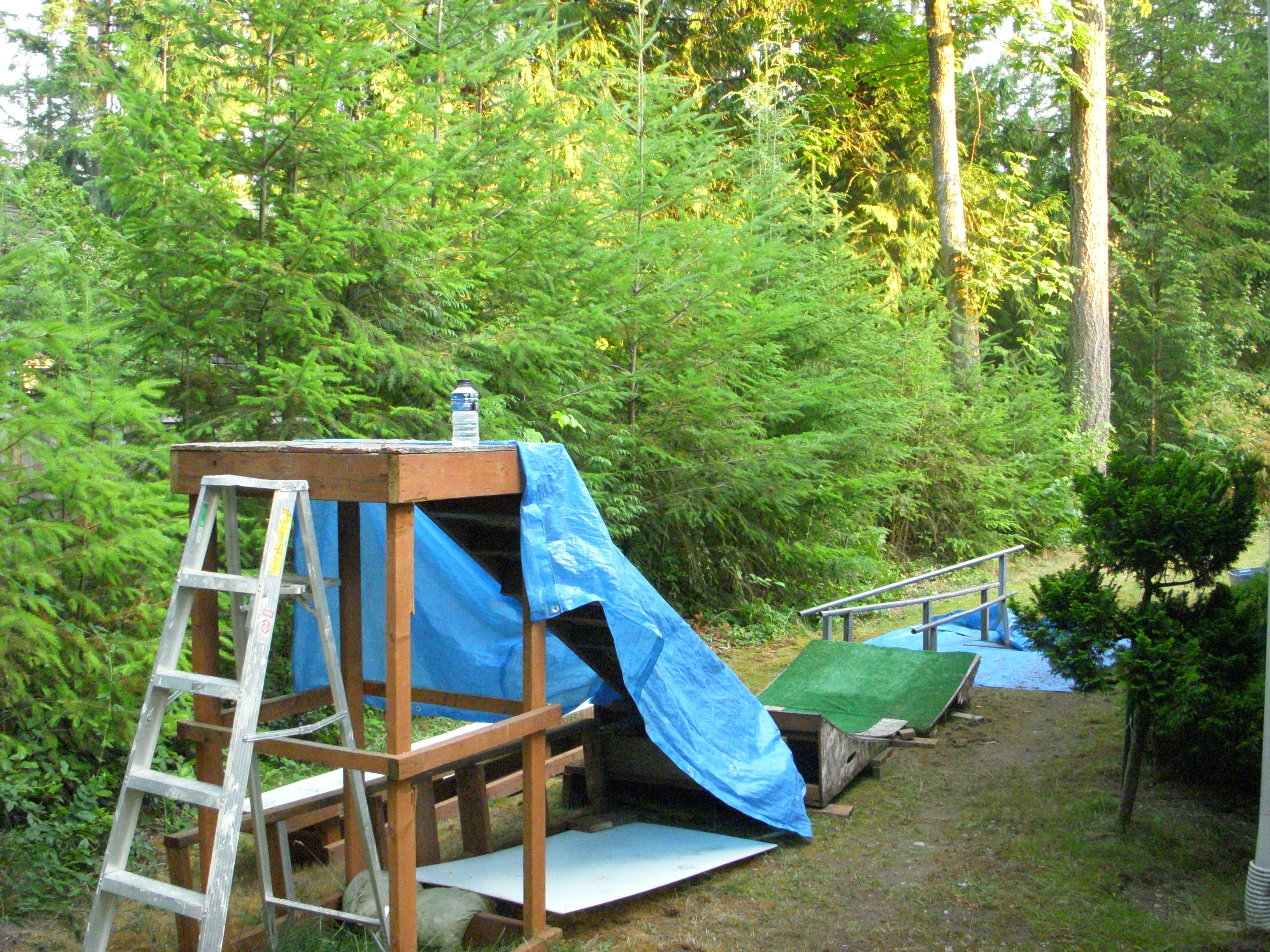 Backyard Setup Different Angle