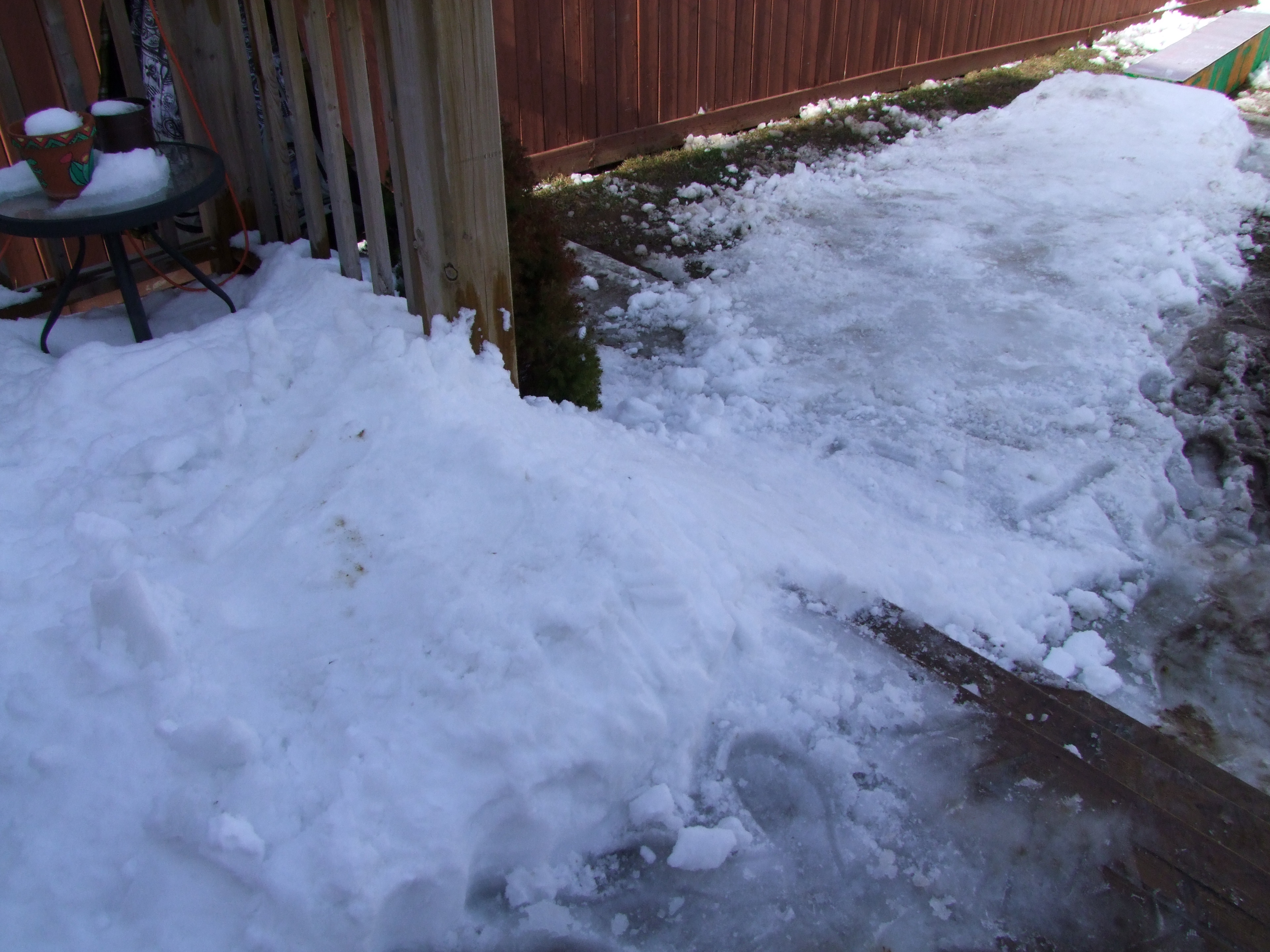 Backyard setup ONTARIO YO - 2 of 7