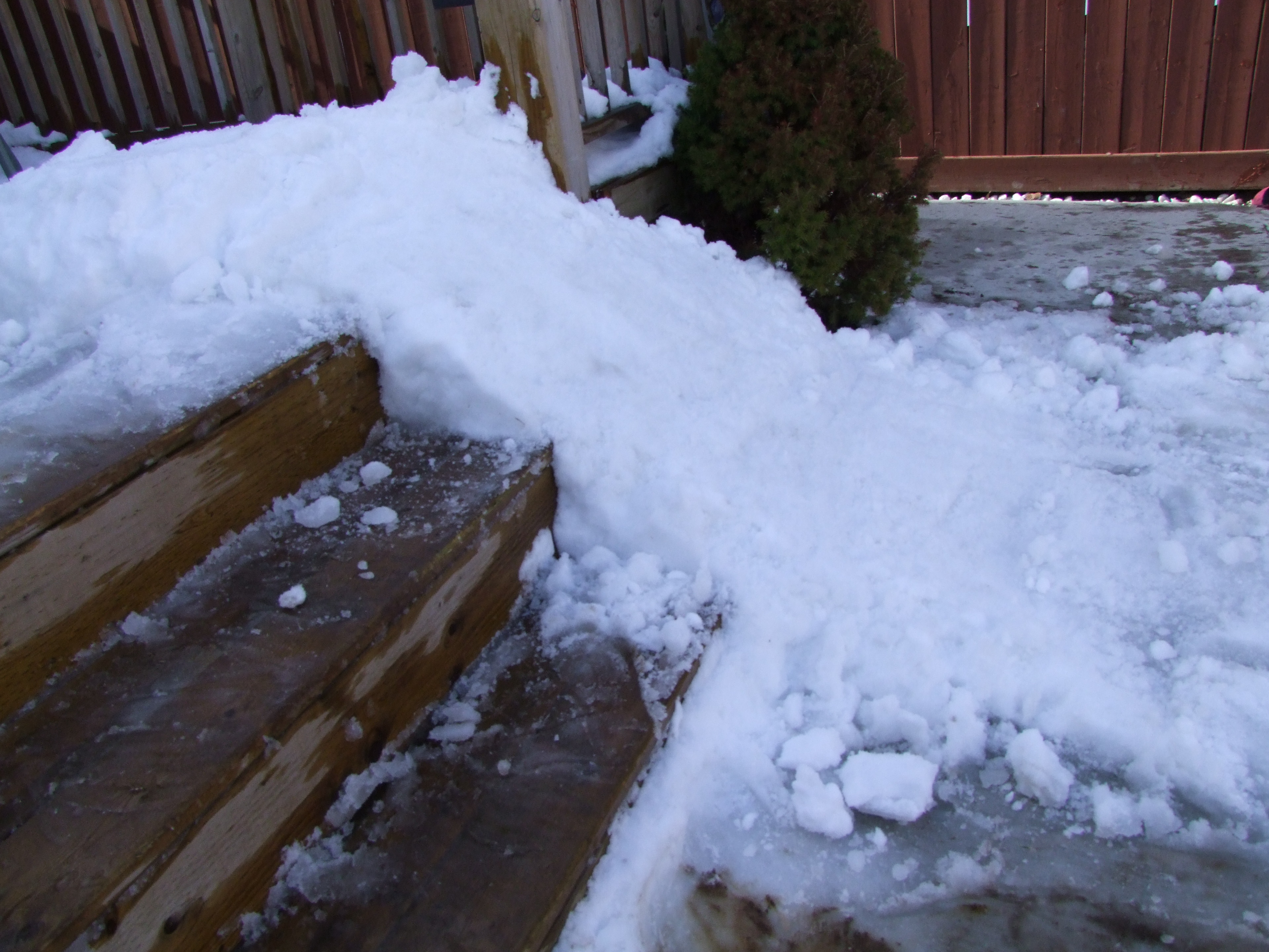 Backyard setup ONTARIO YO - 3 of 7