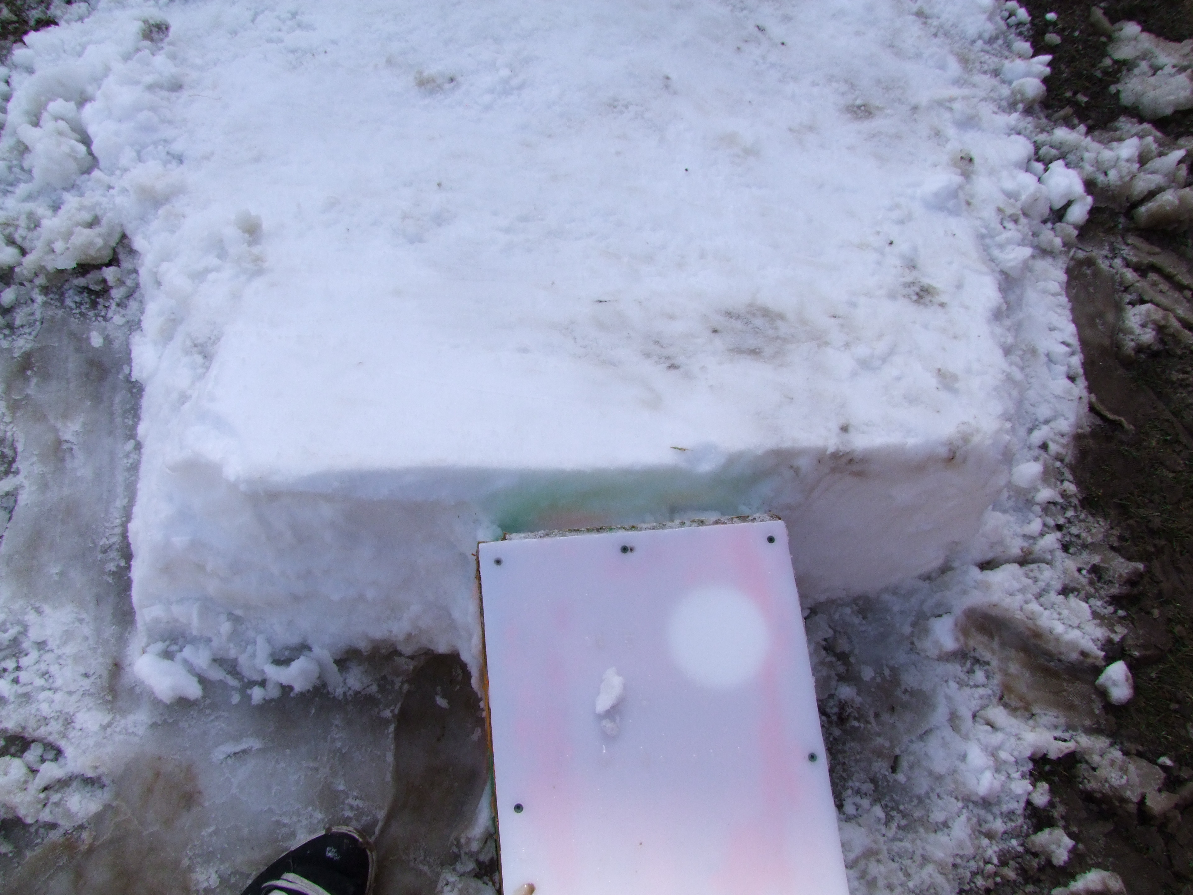 Backyard setup ONTARIO YO - 6 of 7