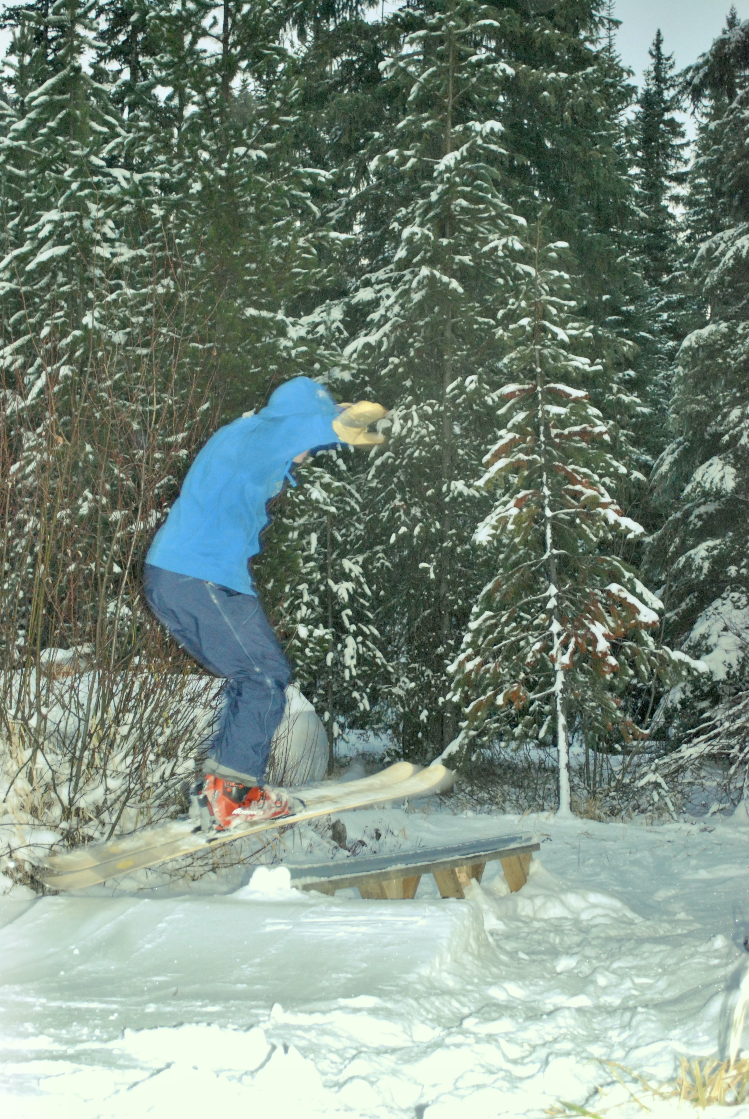 Backyard setup - Preseason