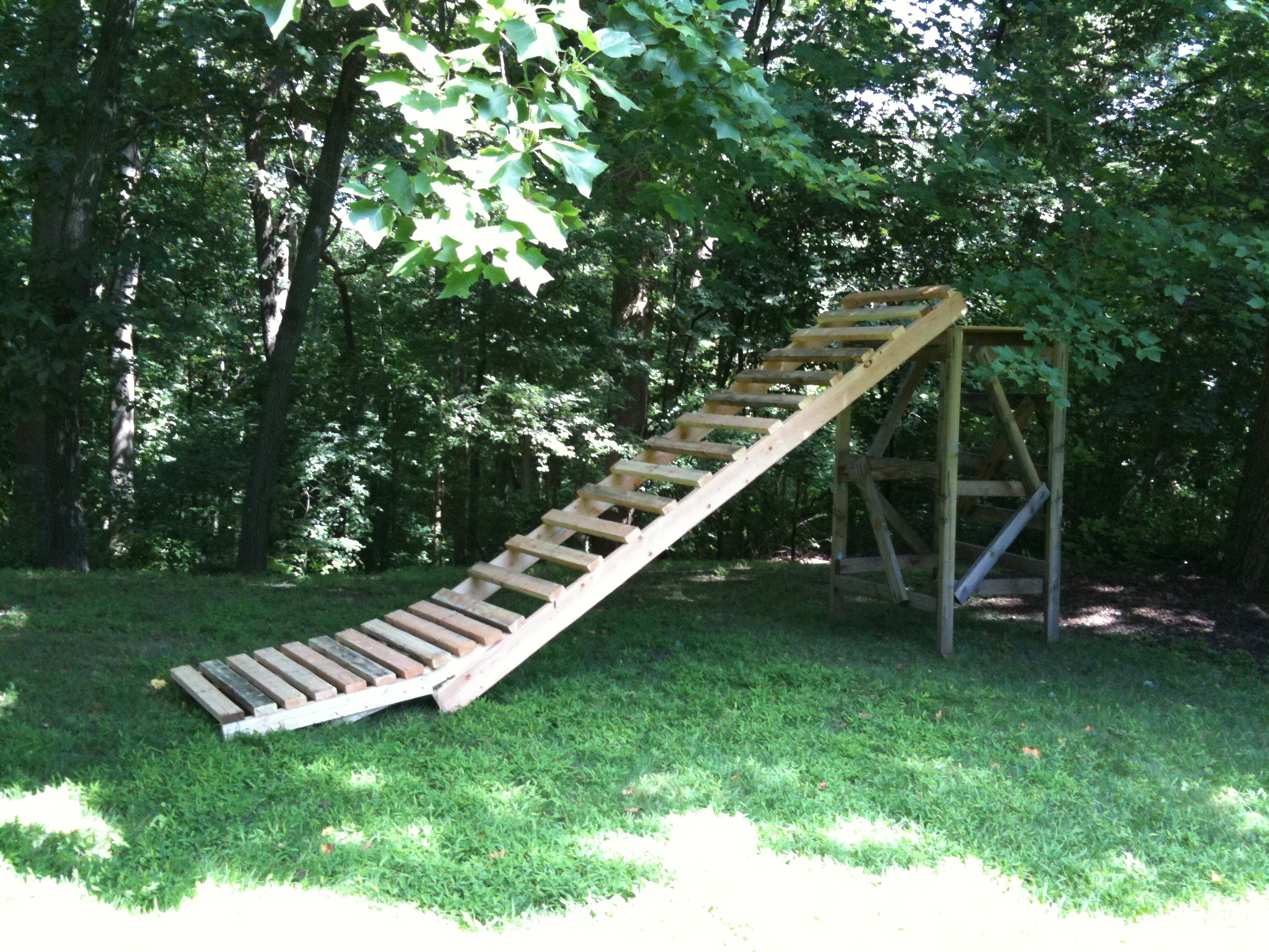 Backyard setup SO FAR