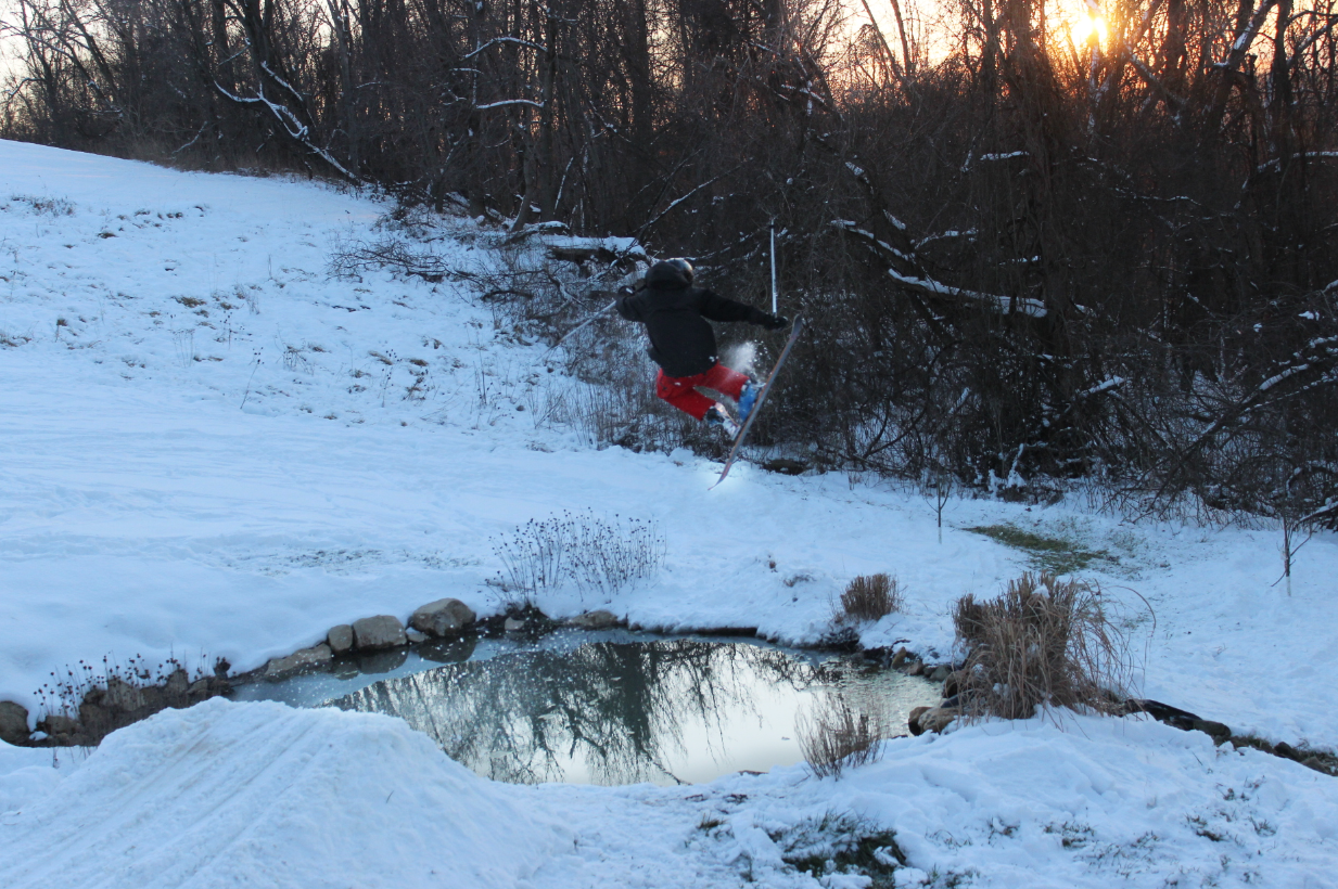 Backyard Shenanigans  