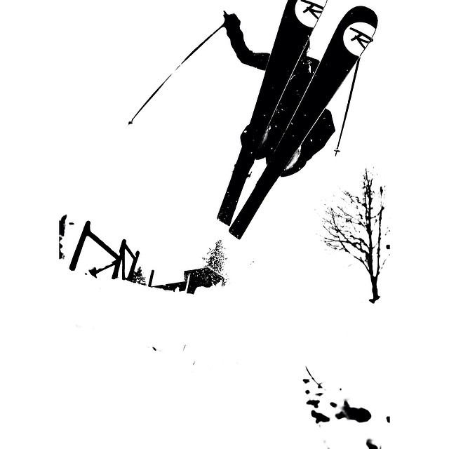 Backyard Shenanigans