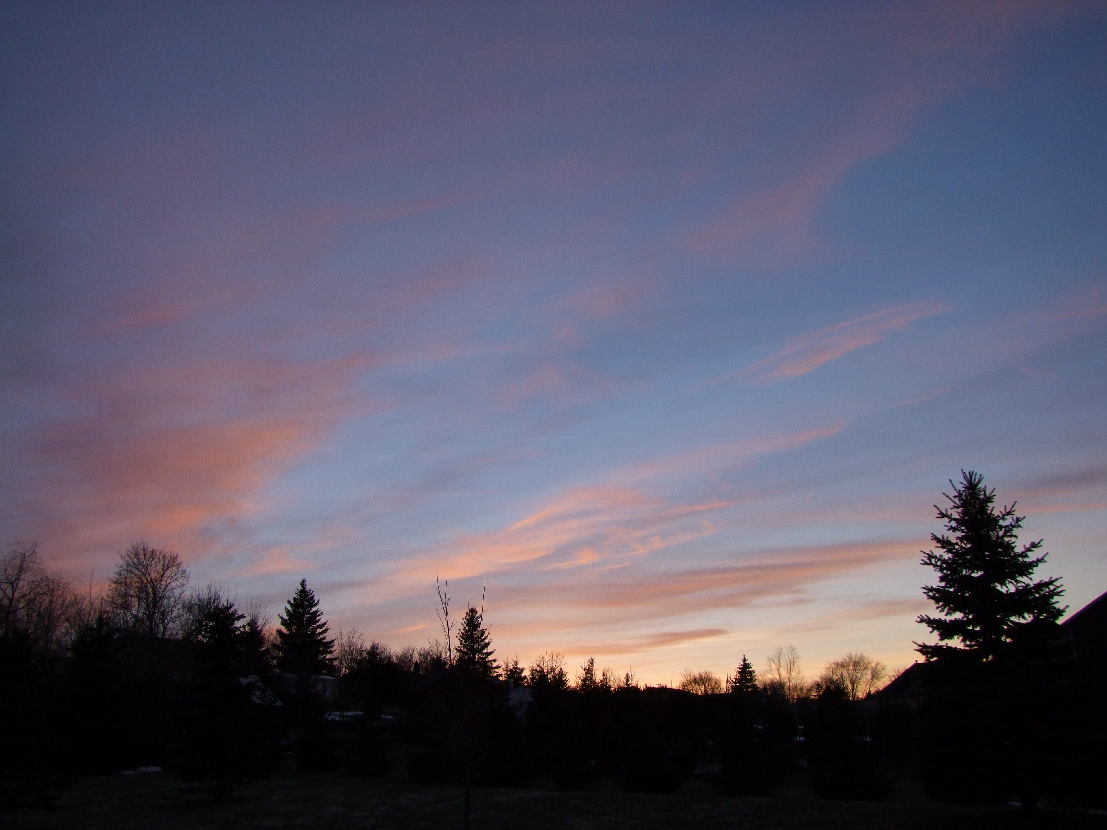 Backyard skiing - 4 of 5