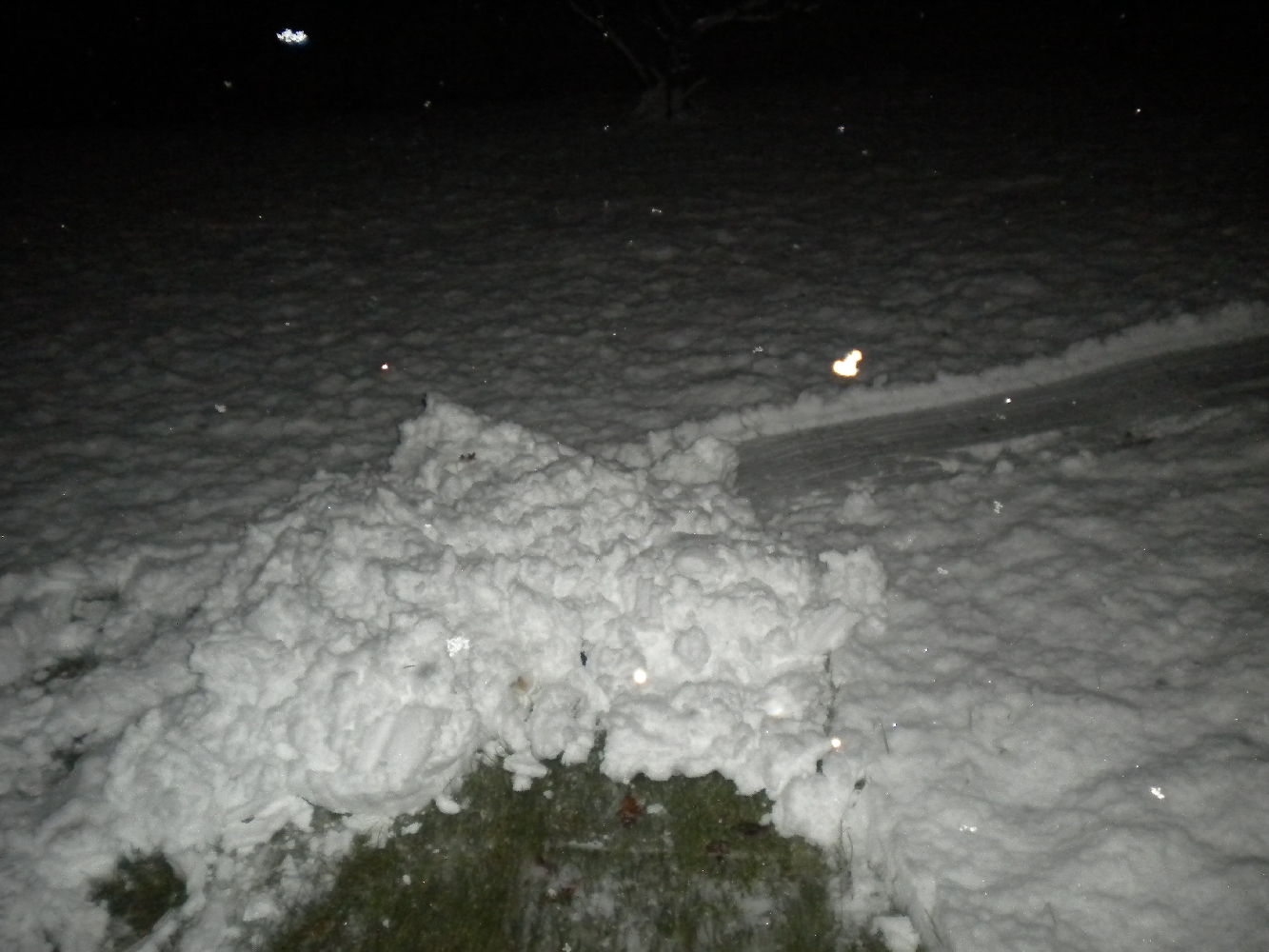 Backyard Skiing on April 18th - 4 of 27