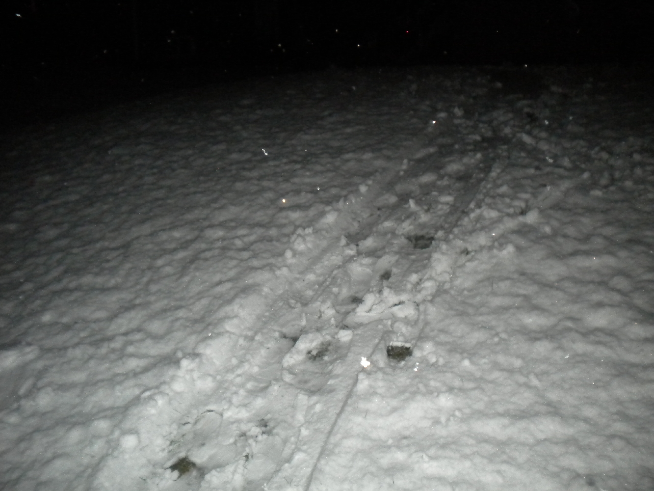 Backyard Skiing on April 18th - 8 of 27