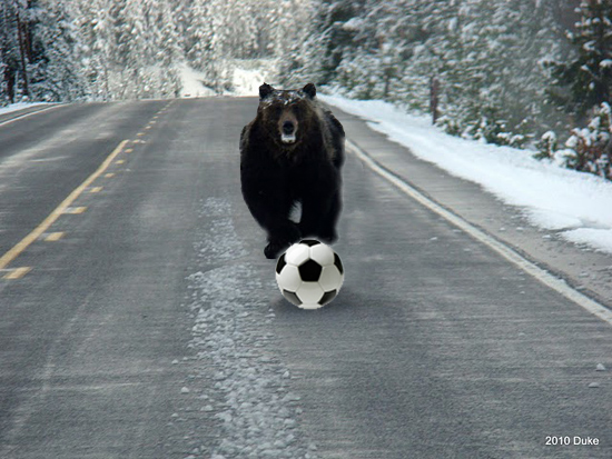 Ballbear