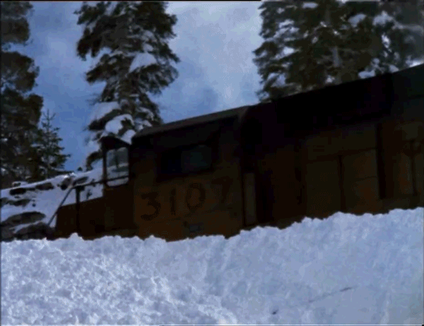 Ballsy backflip over train