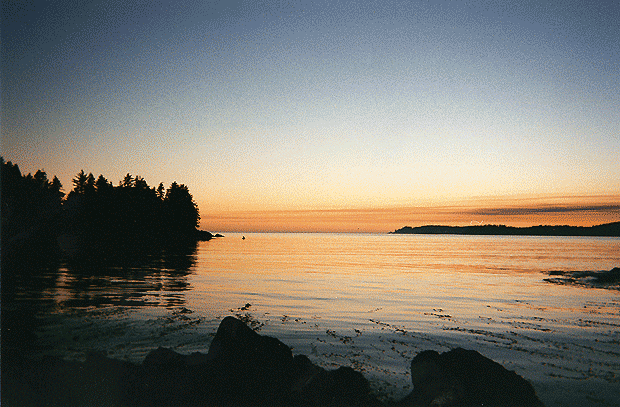 Bamfield Sunset