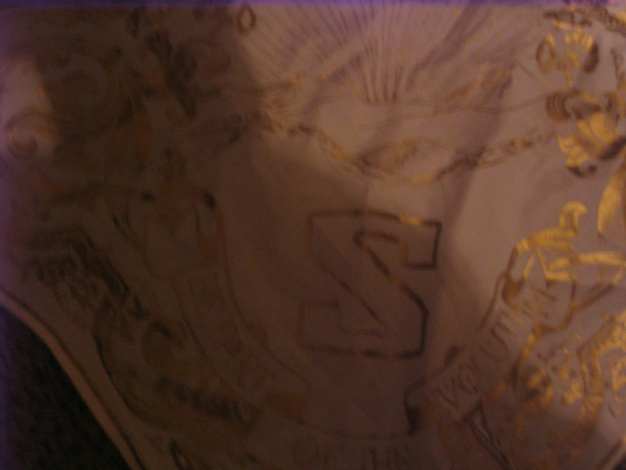 Bandana detail (comes with coat)