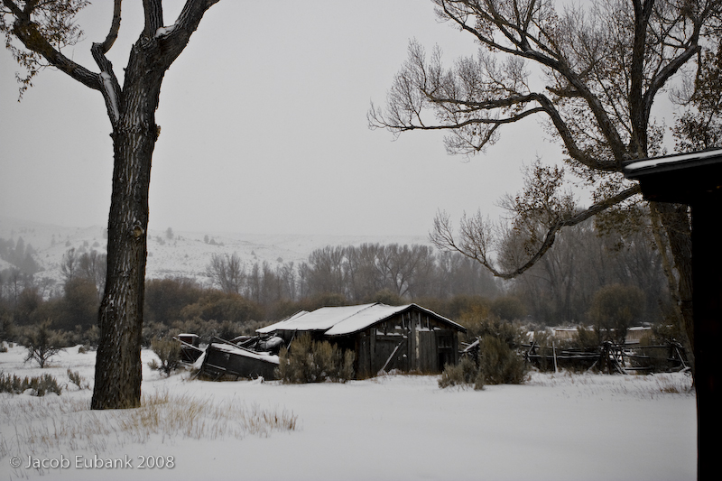 Bannack, MT