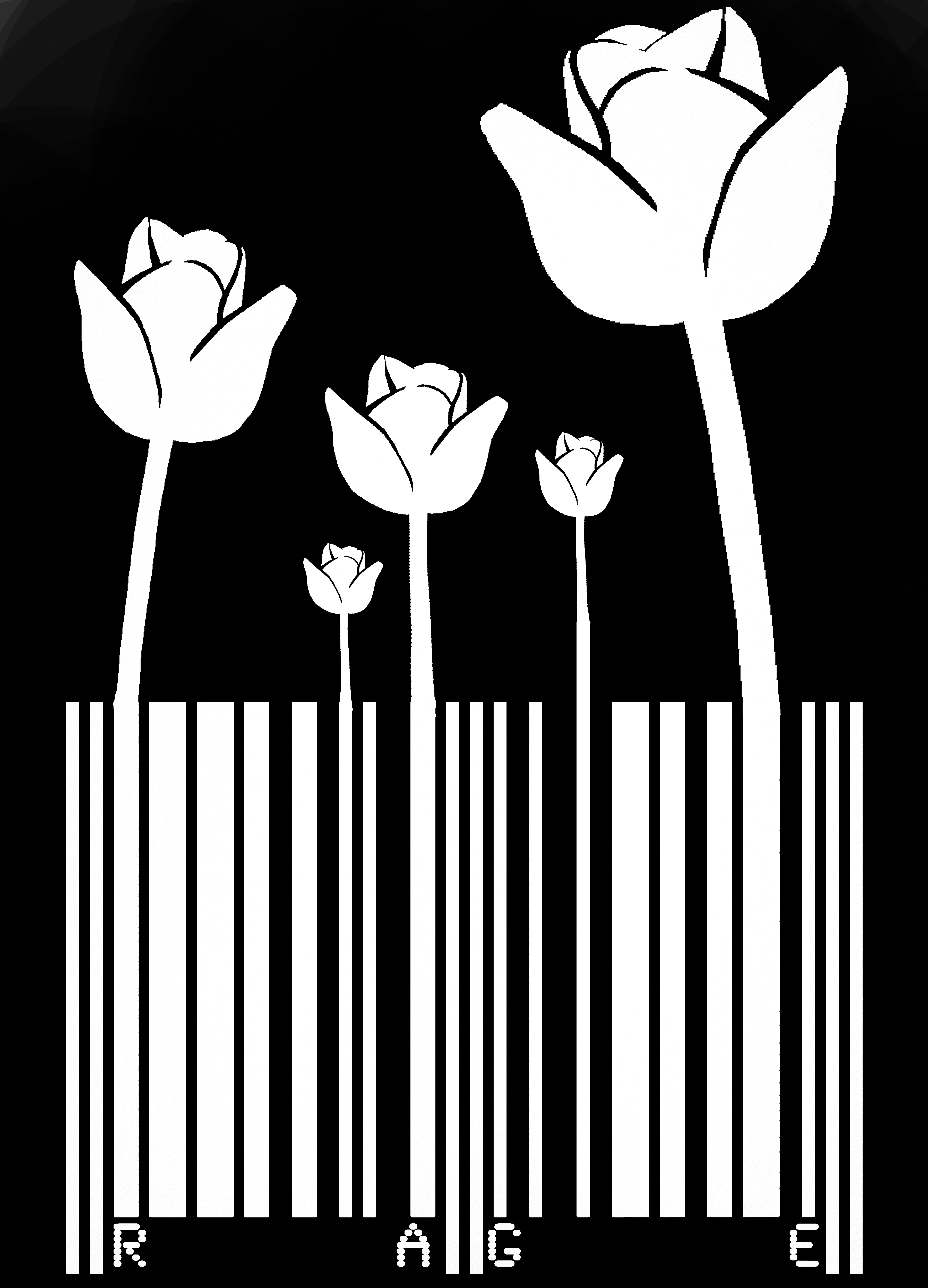 Barcode flower