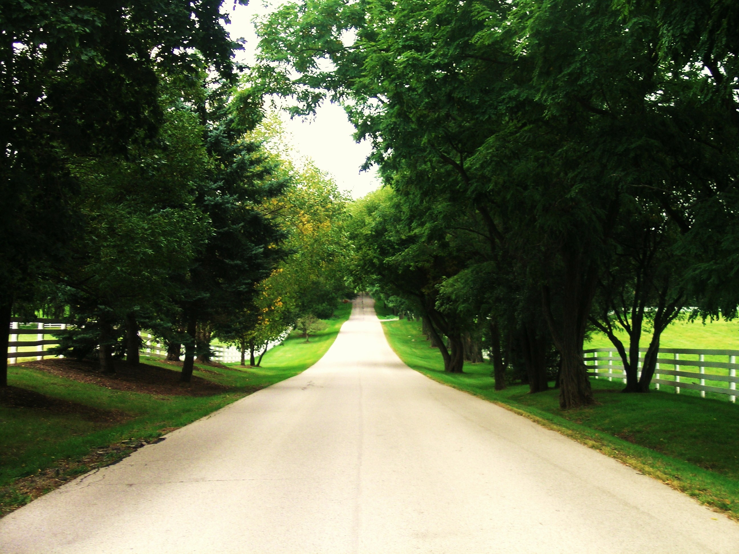 Barn Black and White
