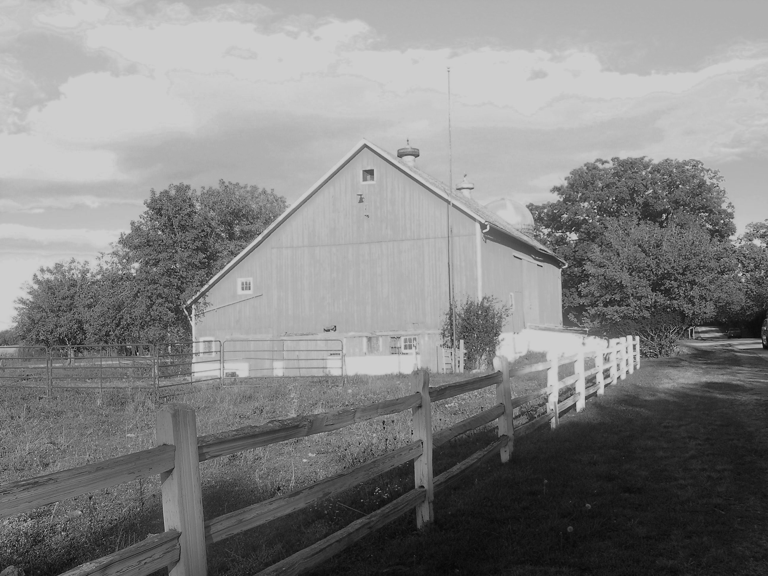 Barn Black and White
