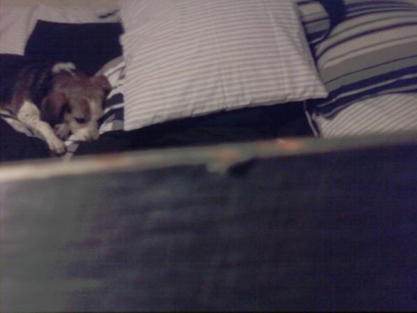 Base material mess up