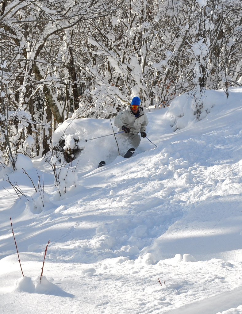 BC in North Carolina