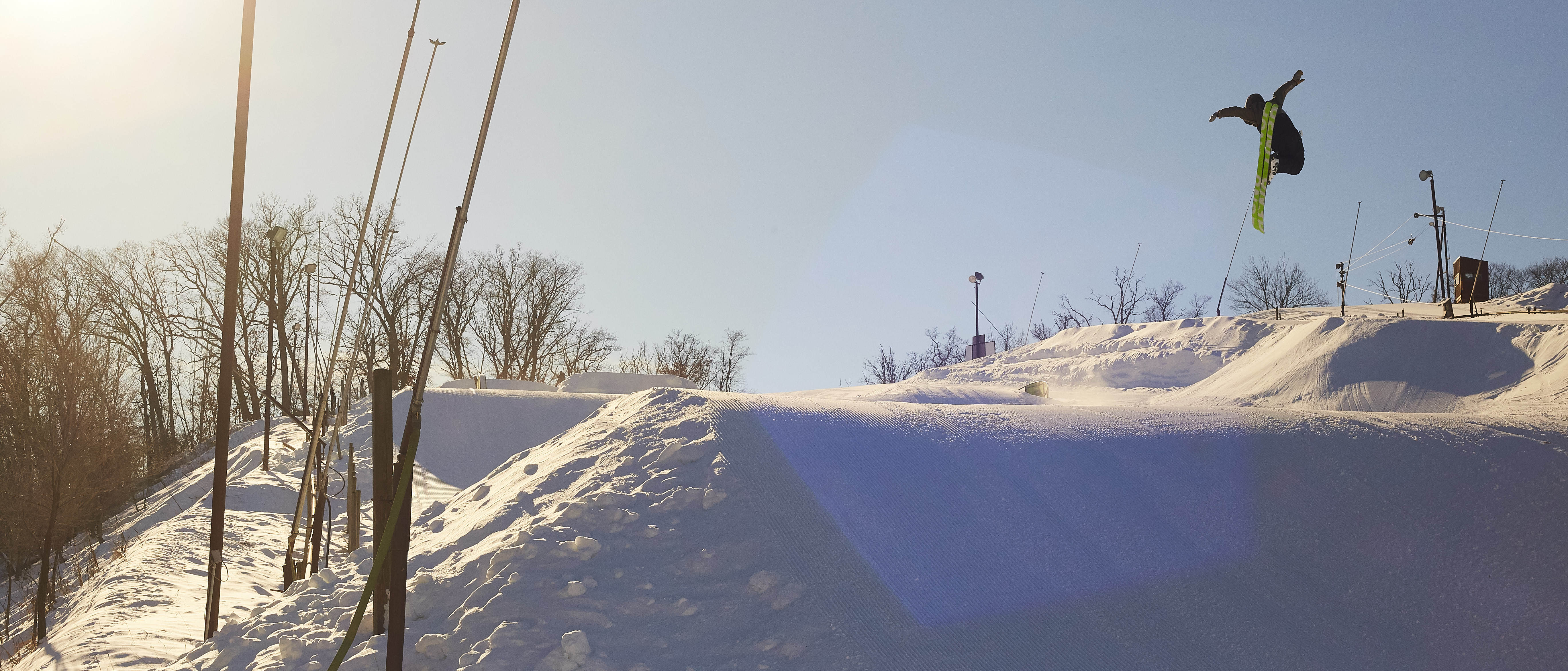 Bean Carrot gits Wild