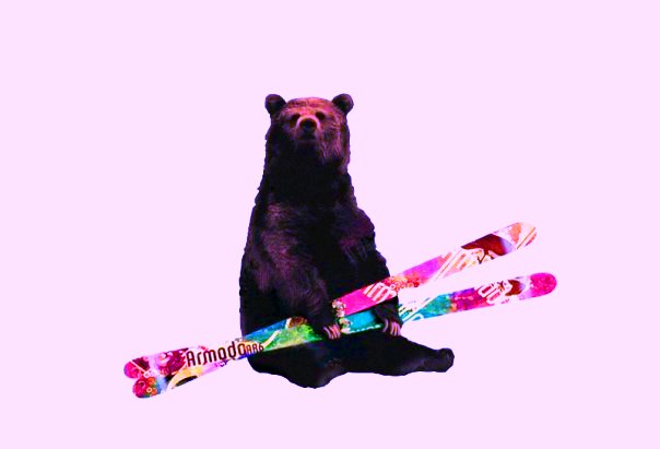 Bear with skiis
