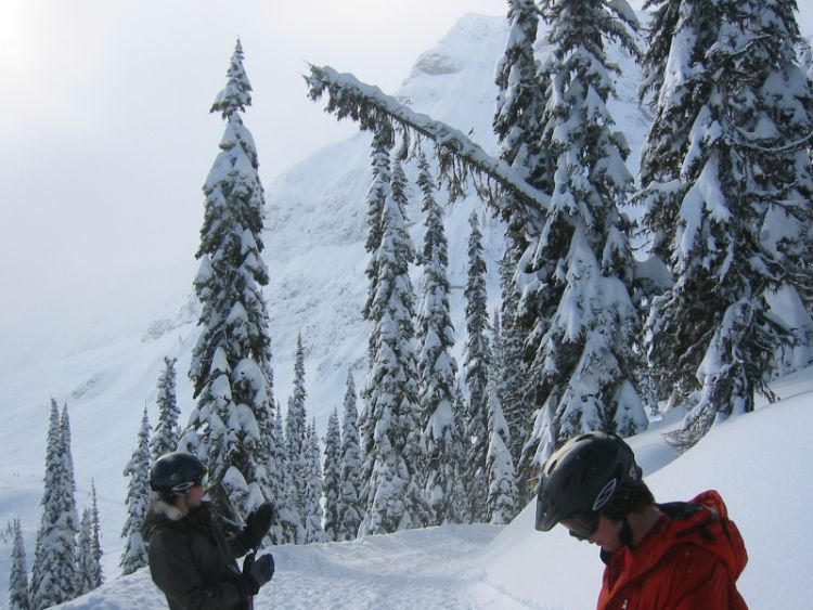 Beautiful background in Fernie