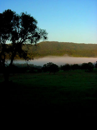 Beautiful Scenery w/ fog