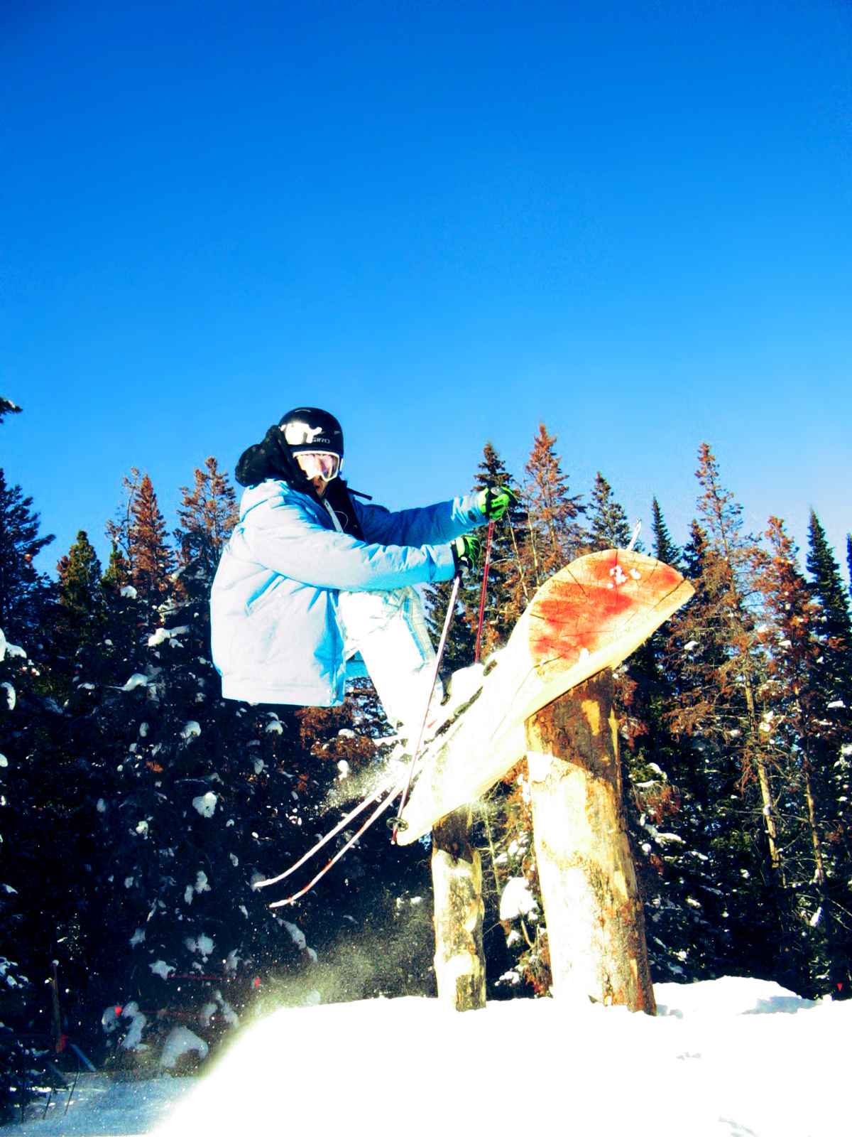 Beaver Creek Log Bonk