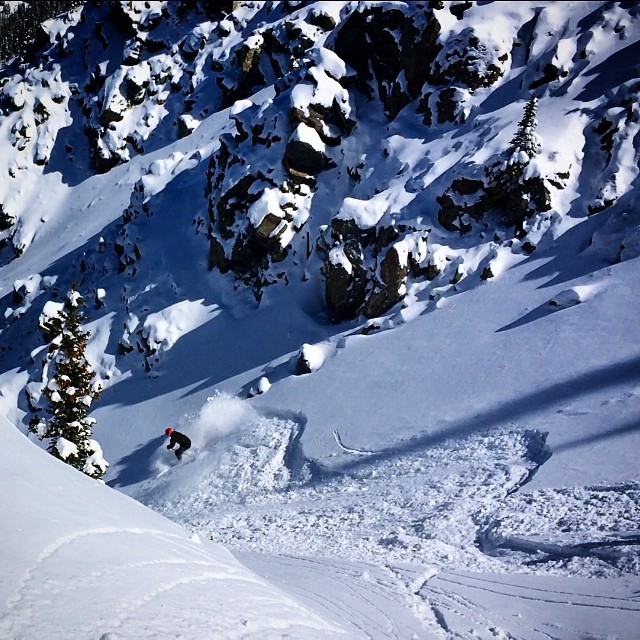 Beavers at Arapahoe Basin